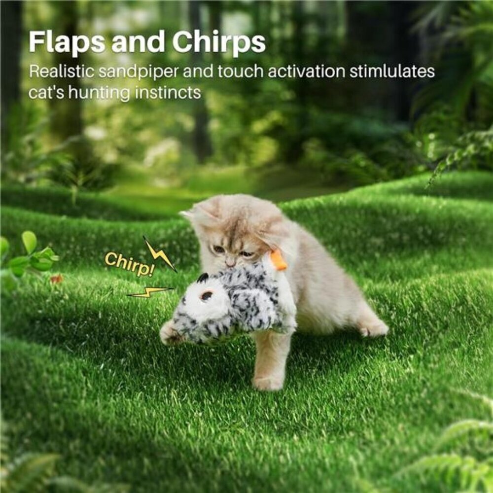 Flapping Owl Cat Toys (No Flying), Lifelike Bird Chirp, Rechargeable - Picture 2 of 7